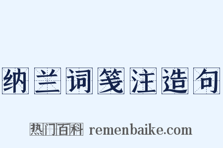 纳兰词笺注造句是什么意思的图片